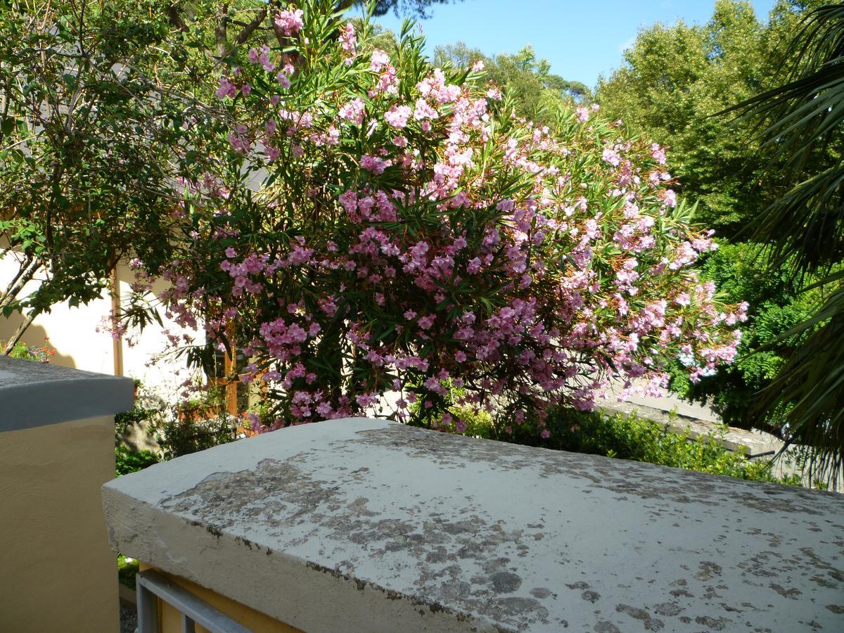 Villa Santa Margherita - B&B Кортона Экстерьер фото